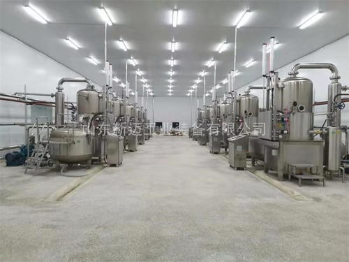 大棗真空油炸機加工設備廠家供應 山東新邁工業 推薦商家 高清圖片 高清大圖